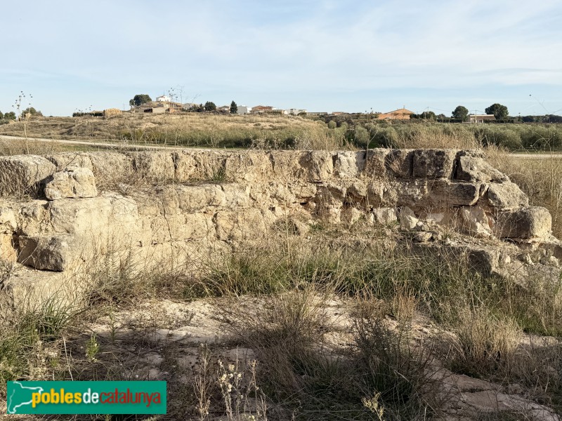 Sunyer - Restes de l'ermita de Sant Llúcia (Foto: Albert Esteves, 2025) Sunyer - Restes de l'ermita de Sant Llúcia