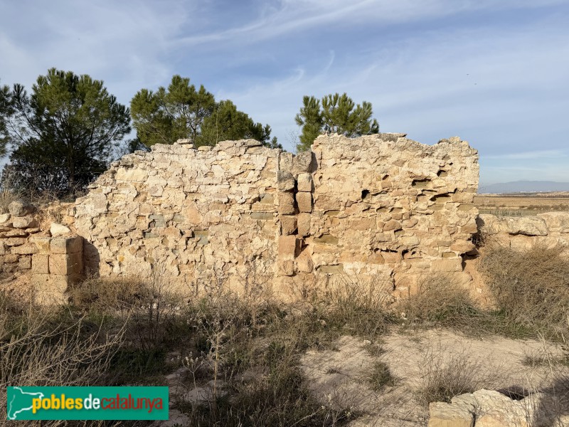 Sunyer - Restes de l'ermita de Sant Llúcia (Foto: Albert Esteves, 2025) Sunyer - Restes de l'ermita de Sant Llúcia