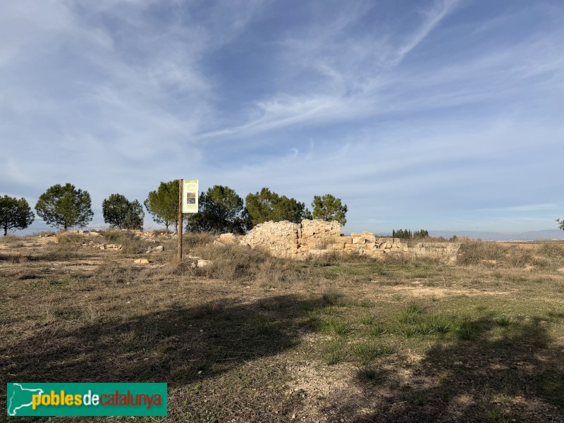 Sunyer - Restes de l'ermita de Sant Llúcia (Foto: Albert Esteves, 2025) Sunyer - Restes de l'ermita de Sant Llúcia