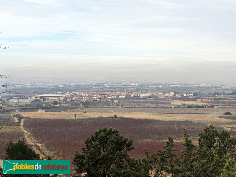 Torres de Segre - Panoràmica des de l'ermita de la M. D. de Carrassumada