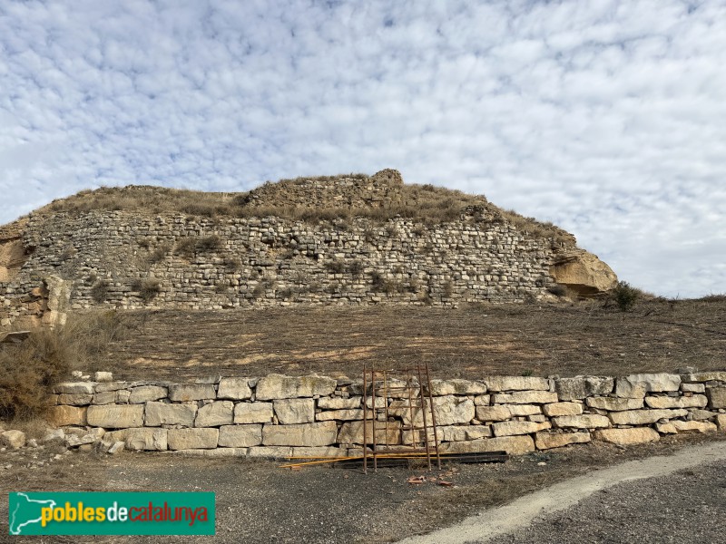 Sarroca de Lleida - Castell de Sarroca