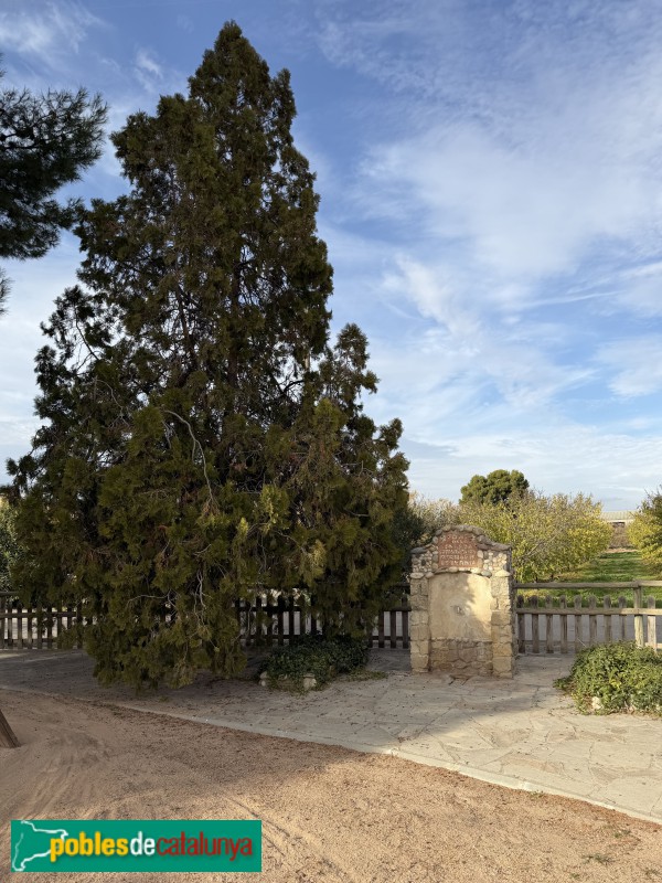 Alcanó - Font del Saladà