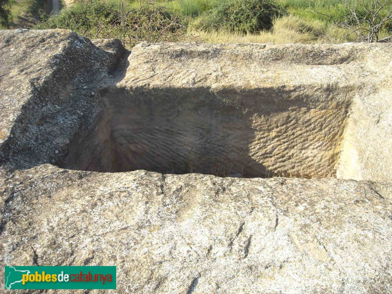 Torrefarrera - Torre Grallera (Agents rurals, 2022