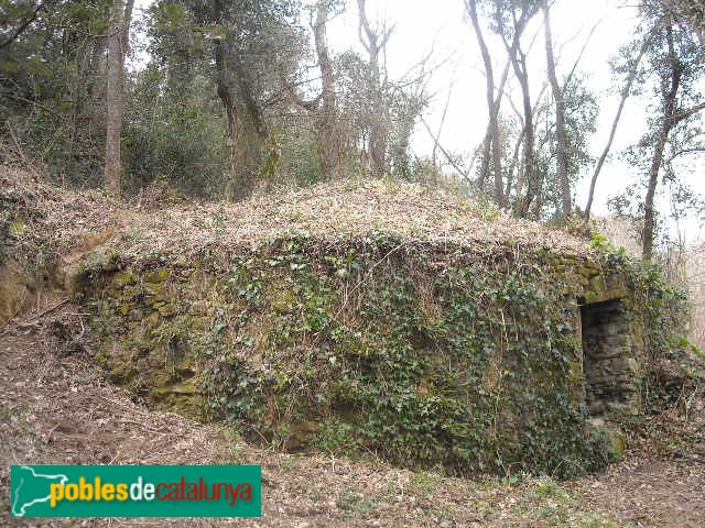 Flaçà - Pou de glaç d'en Perich