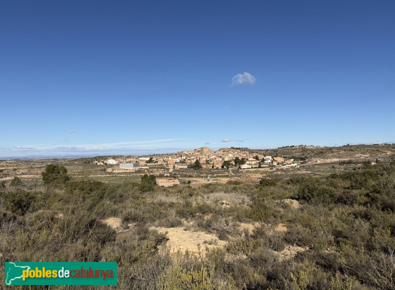 Torrebesses - Panoràmica des del camí de l'ermita