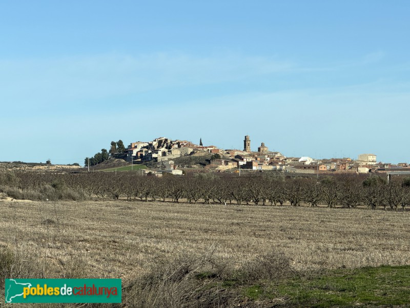 Maials - Panoràmica de Maials, amb la Vila closa a mà esquerra