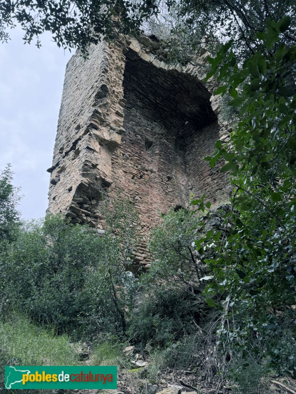 Sant Julià de Ramis - Castell de Montagut