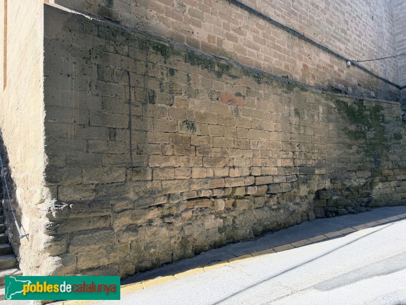 Alcarràs - Restes del castell