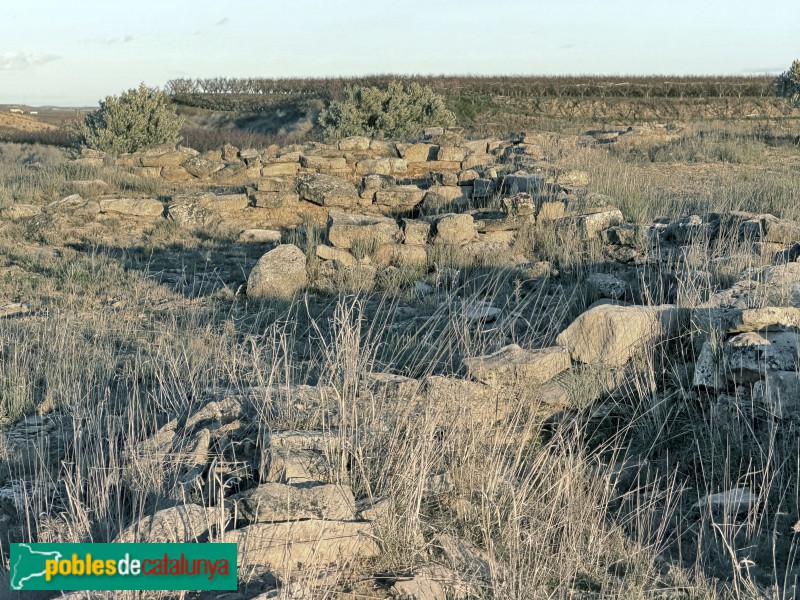 Aitona - Jaciment prehistòric de Genó