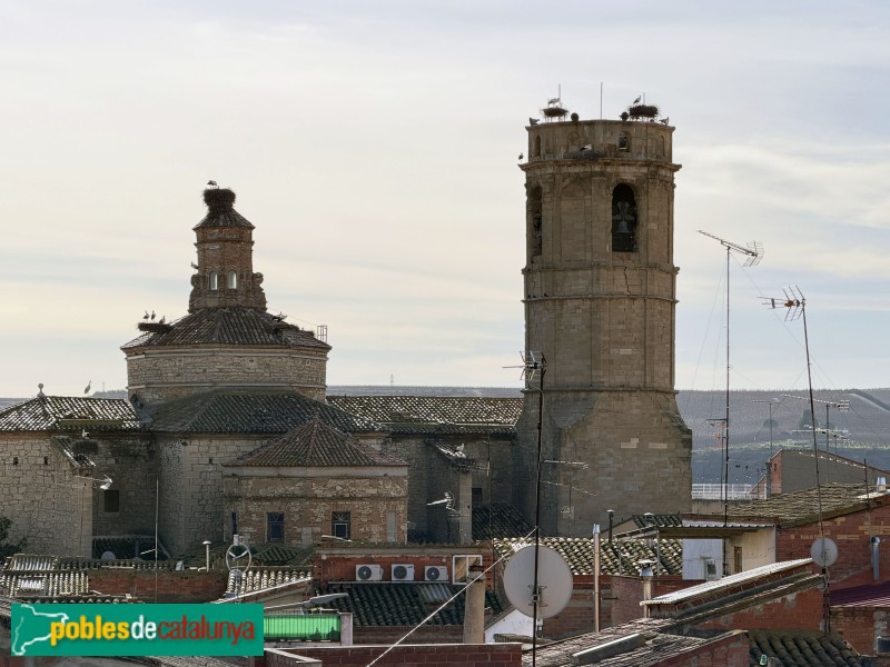 Seròs - Església de Santa Maria (Foto: Albert Esteves, 2026) Seròs - Església de Santa Maria