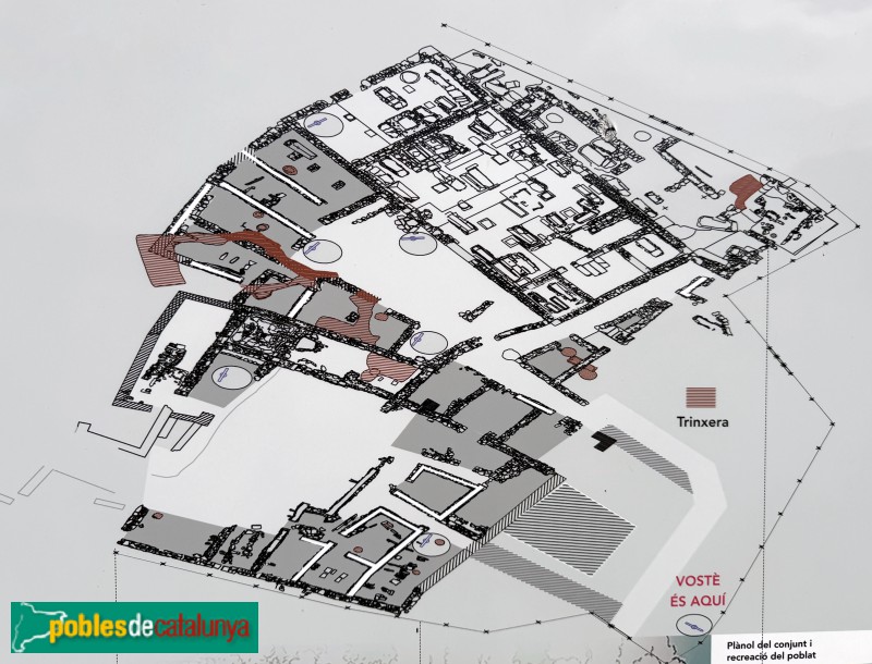 Seròs - Jaciment de Bovalar. Cartell in situ