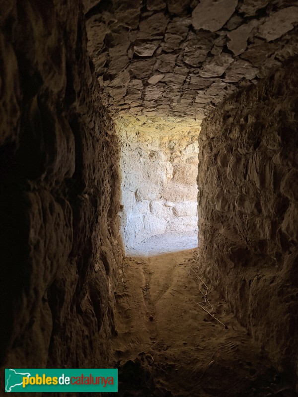 Almenar - Pou de gel (Foto: Albert Esteves, 2026) Almenar - Pou de gel