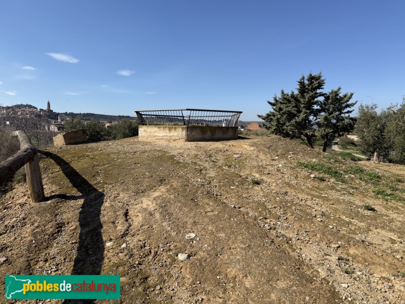 Almenar - Pou de gel (Foto: Albert Esteves, 2026) Almenar - Pou de gel