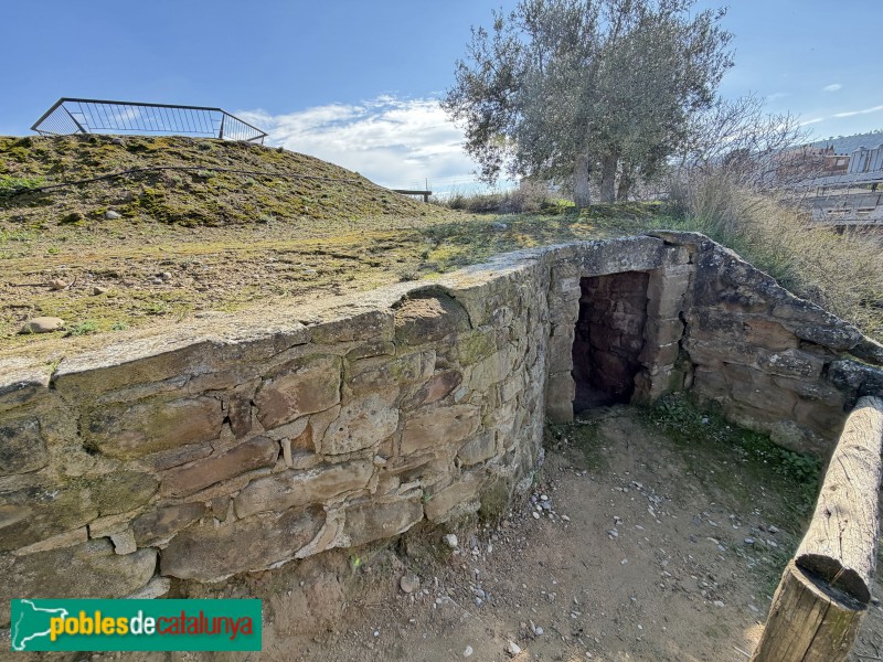 Almenar - Pou de gel (Foto: Albert Esteves, 2026) Almenar - Pou de gel