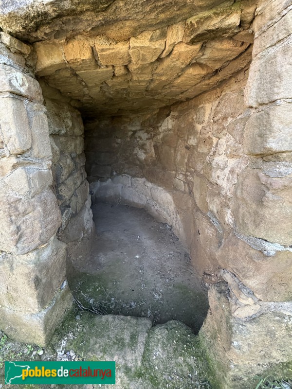 Almenar - Pou de gel (Foto: Albert Esteves, 2026) Almenar - Pou de gel