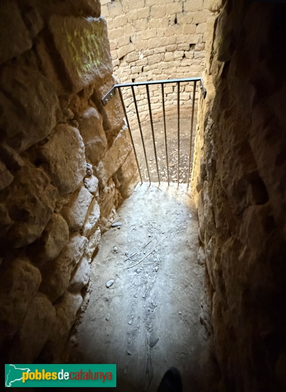 Almenar - Pou de gel (Foto: Albert Esteves, 2026) Almenar - Pou de gel