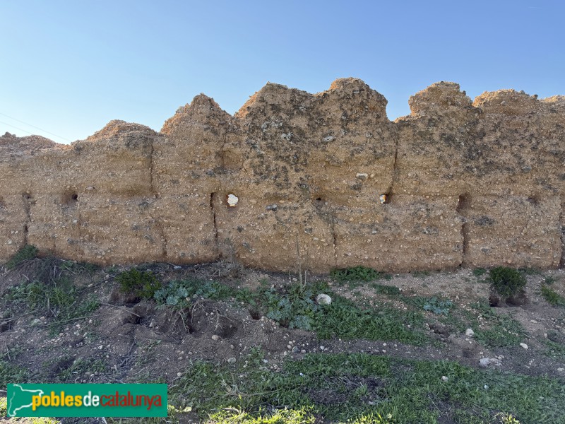 Alguaire - Castell-comanda d'Alguaire (Foto: Albert Esteves, 2026) Alguaire - Castell-comanda d'Alguaire