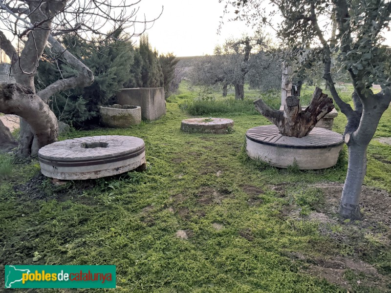 Alpicat - Molí de Canet