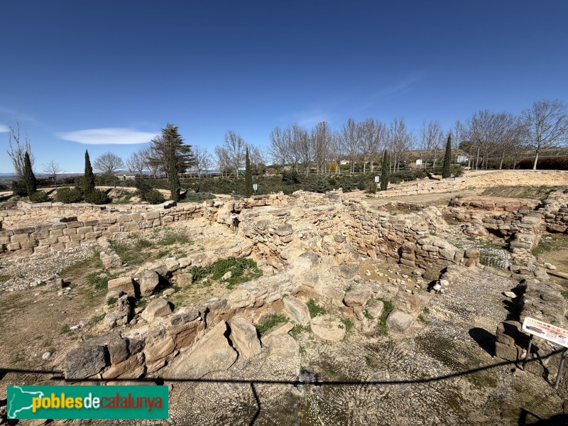 Almacelles - Parc arqueològic del Vilot