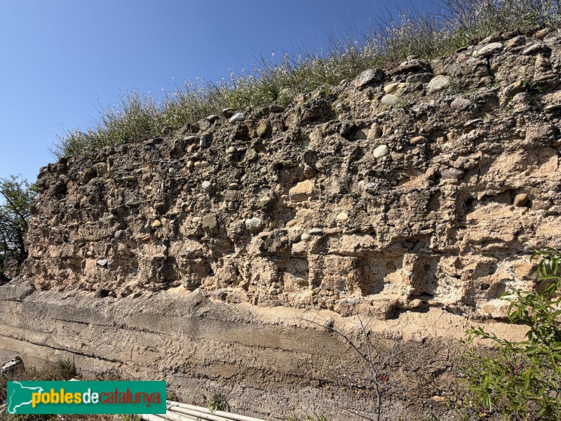 Corbins - Castell de Corbins (la Presó)