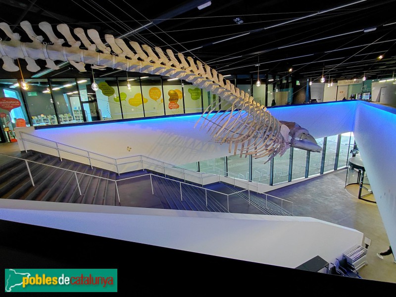 Barcelona - Edifici Fòrum (Museu Blau)