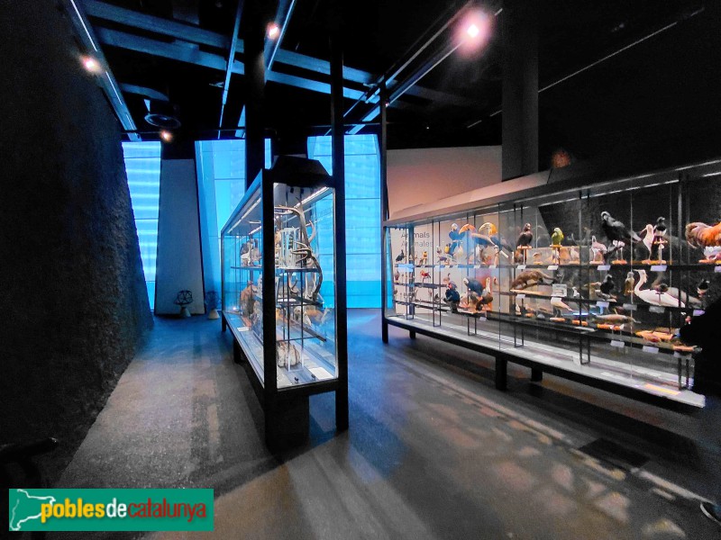 Barcelona - Edifici Fòrum (Museu Blau)