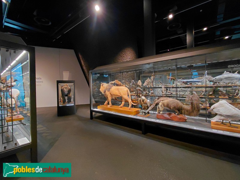 Barcelona - Edifici Fòrum (Museu Blau)