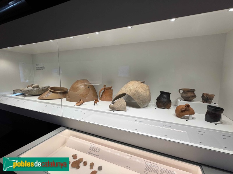 Roda de Ter - Museu Arqueològic de l'Esquerda. Fragments de gerros i àmfores