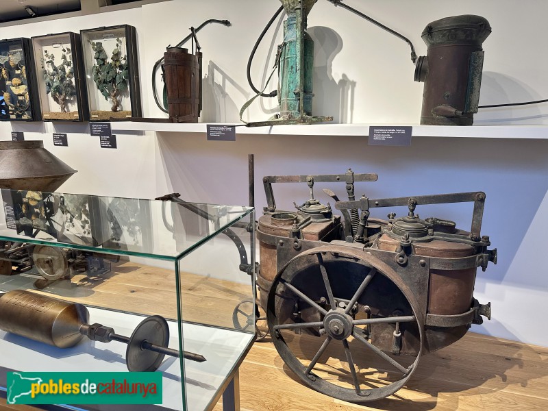 Vilafranca del Penedès - Vinseum (Foto: Albert Esteves, 2024) Vilafranca del Penedès - Vinseum