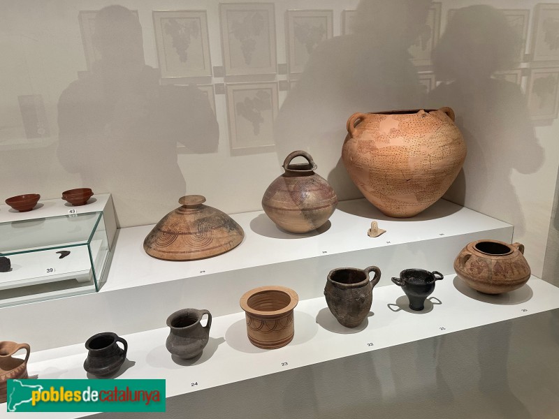 Vilafranca del Penedès - Vinseum (Foto: Albert Esteves, 2024) Vilafranca del Penedès - Vinseum