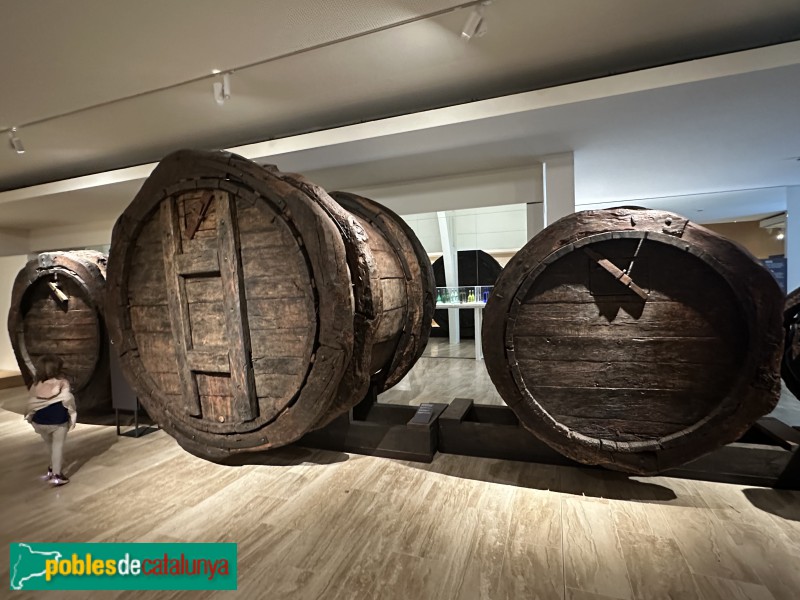 Vilafranca del Penedès - Vinseum (Foto: Albert Esteves, 2024) Vilafranca del Penedès - Vinseum