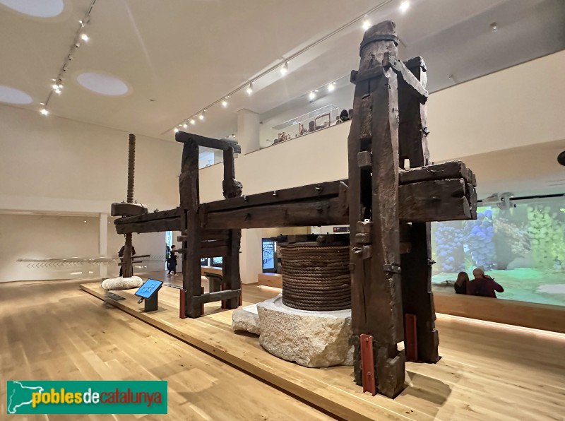 Vilafranca del Penedès - Vinseum. Premsa de biga (Foto: Albert Esteves, 2026) Vilafranca del Penedès - Vinseum. Premsa de biga