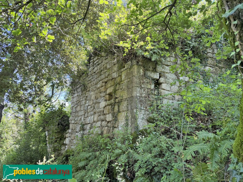 Sant Julià de Vilatorta - Castell de Bellpuig (Foto: Albert Esteves, 2026) Sant Julià de Vilatorta - Castell de Bellpuig