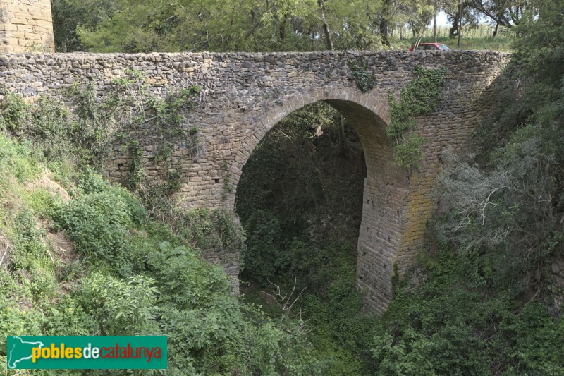 Sant Gregori - Castell de Cartellà. Pont medieval