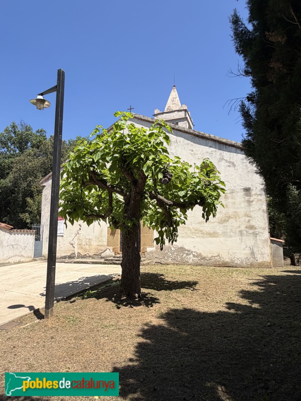 Canet d'Adri - Església de Santa Cecília de Montcal (Foto: Albert Esteves, 2026) Canet d'Adri - Església de Santa Cecília de Montcal