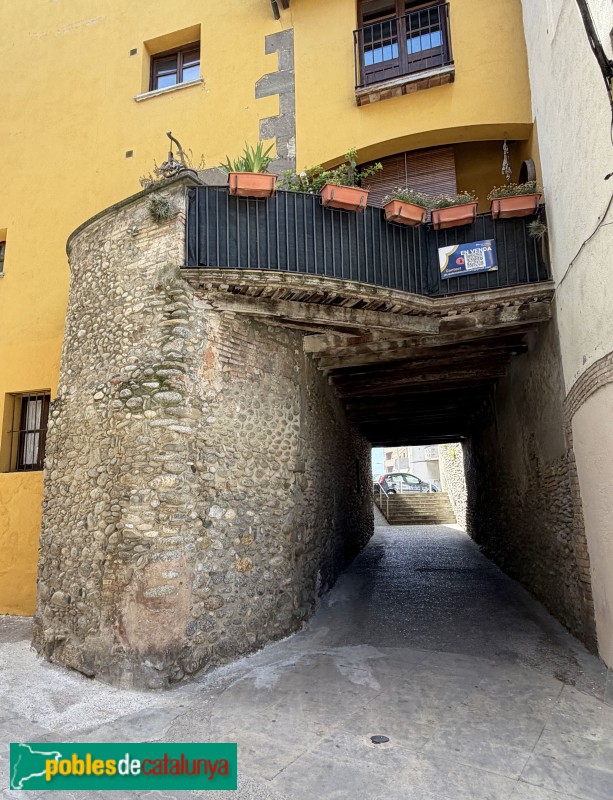 Manlleu - Ca la Reina de les Pageses. Pou del segle XVIII