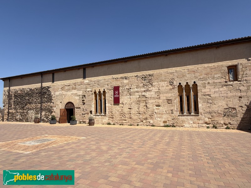 Falset - Castell (Foto: Albert Esteves, 2026) Falset - Castell