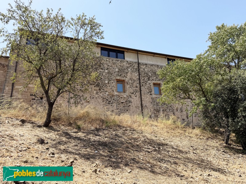 Falset - Castell (Foto: Albert Esteves, 2026) Falset - Castell