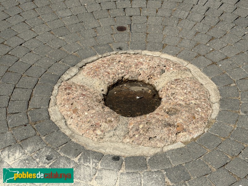 Falset - Plaça Vella. Sitja (Foto: Albert Esteves, 2026) Falset - Plaça Vella. Sitja