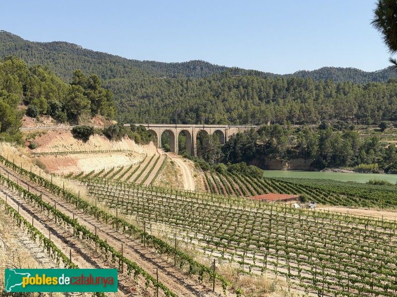 Capçanes - Pont del Tren (Foto: Albert Esteves, 2026) Capçanes - Pont del Tren