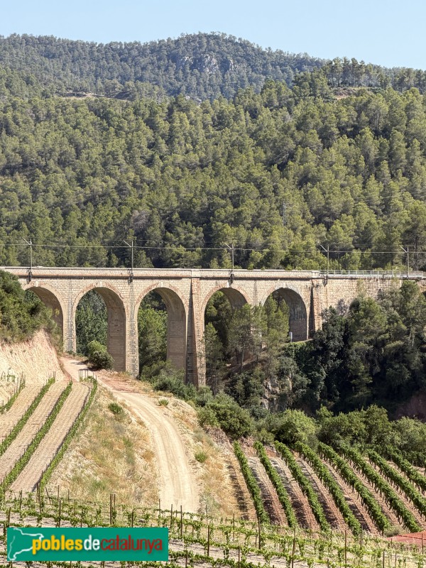 Capçanes - Pont del Tren (Foto: Albert Esteves, 2026) Capçanes - Pont del Tren