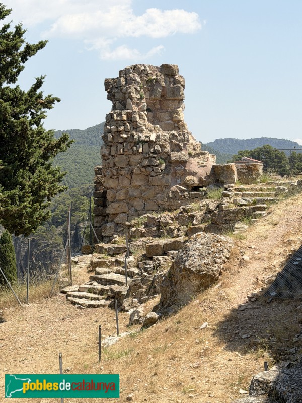 Cornudella de Montsant - Castell de Siurana (Foto: Albert Esteves, 2026) Cornudella de Montsant - Castell de Siurana