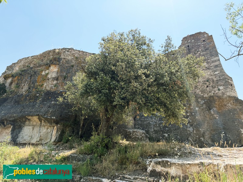 Cornudella de Montsant - Castell de Siurana (Foto: Albert Esteves, 2026) Cornudella de Montsant - Castell de Siurana