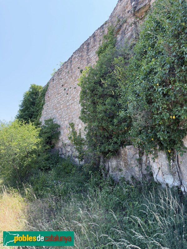 Cornudella de Montsant - Castell de Siurana (Foto: Albert Esteves, 2026) Cornudella de Montsant - Castell de Siurana