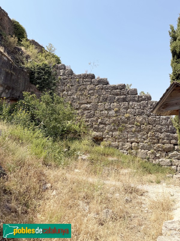 Cornudella de Montsant - Castell de Siurana (Foto: Albert Esteves, 2026) Cornudella de Montsant - Castell de Siurana