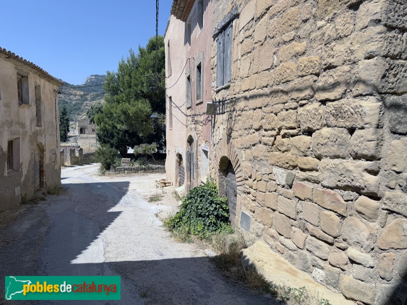 Cornudella de Montsant - Albarca (Foto: Albert Esteves, 2026) Cornudella de Montsant - Albarca