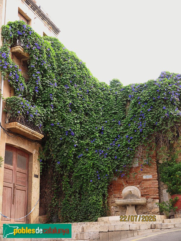 Tarragona - Font de la Pixa (Foto: Josep Antoni Rius, 2026) Tarragona - Font de la Pixa
