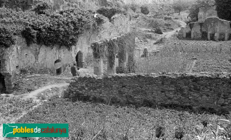 Cartoixa d'Escaladei - Claustre major (Foto: <i>Montserrat Vidal-Barraquer i Flaquer</i>, anys 60-70) Cartoixa d'Escaladei - Claustre major
