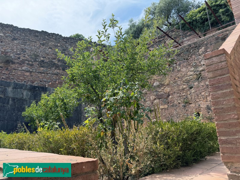 Cartoixa d'Escaladei - Cel·la reconstruïda. Jardí (Foto: Albert Esteves, 2026) Cartoixa d'Escaladei - Cel·la reconstruïda. Jardí