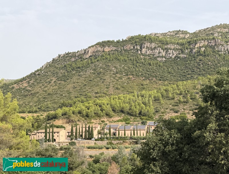 La Morera de Montsant - Mas del Tancat (Foto: Albert Esteves, 2026) La Morera de Montsant - Mas del Tancat